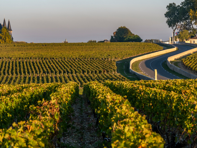 Domaine viticole Loire